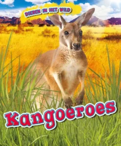 Kangoeroes