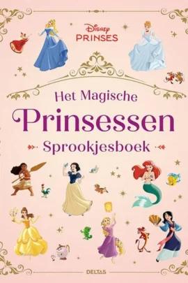 Het magische Prinsessen sprookjesboek