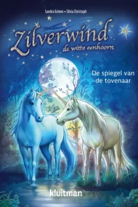 De spiegel van de tovenaar