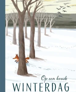 Op een koude winterdag