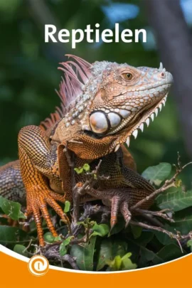 Reptielen