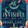 Invisible in a Bright Light | 9781786541727 Invisible in a Bright Light | 9781786541727