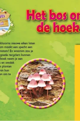 Alternative view of Het bos om de hoek
