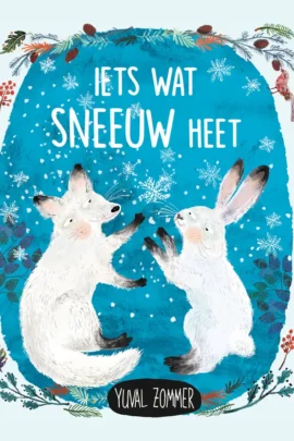 Iets wat sneeuw heet