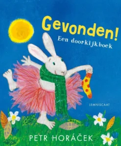 Gevonden!