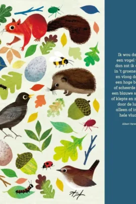 Alternative view of Ik wou dat ik een vogel was