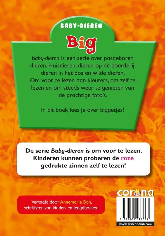 Big | 9789463411691 Big - Afbeelding 2