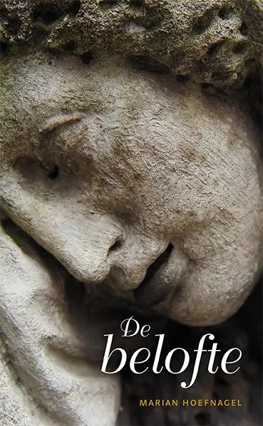De belofte | 9789086961948 De belofte