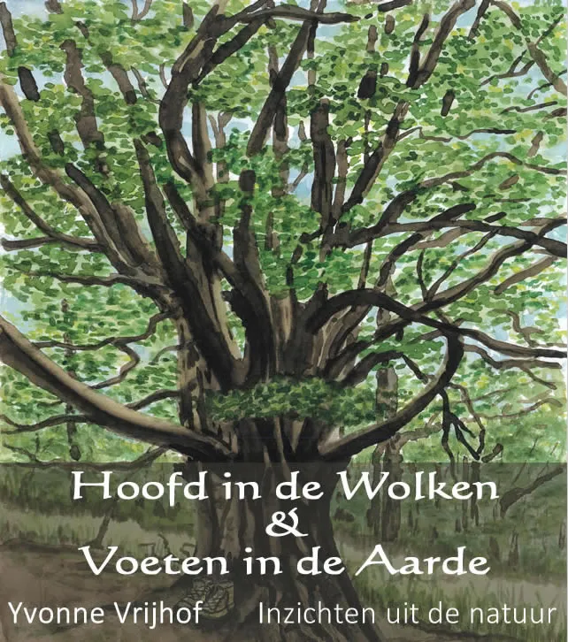 Hoofd in de wolken, voeten in de aarde | 9789082680904 Hoofd in de wolken, voeten in de aarde