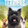 Terriërs | 9789464390377