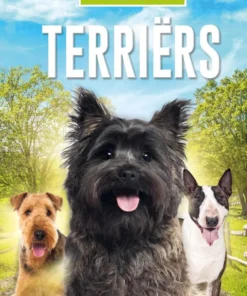 Terriërs