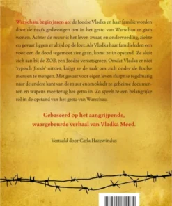 Alternative view of Het meisje aan de andere kant van de muur