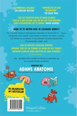 Alternative view of Adams anatomie