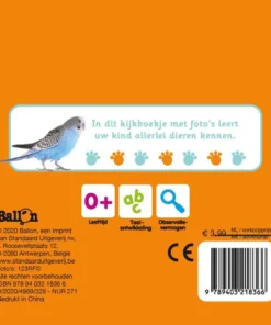 Alternative view of Dieren