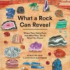 What a Rock Can Reveal | 9781838667887 What a Rock Can Reveal | 9781838667887