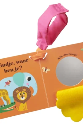 Alternative view of Leeuw, waar ben je? buggyboekje