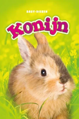 Konijn