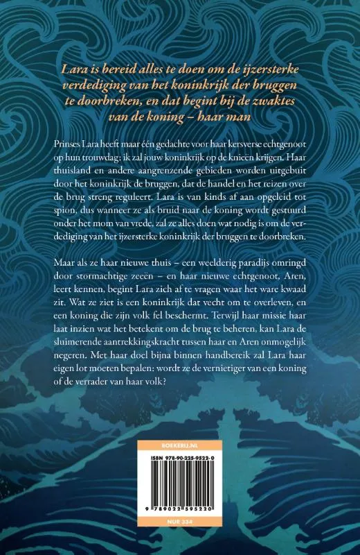 Het koninkrijk der bruggen | 9789022595220 Het koninkrijk der bruggen - Afbeelding 2