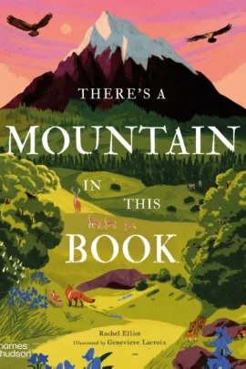There's a Mountain in This Book
