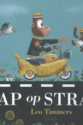 Aap op straat
