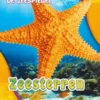 Zeesterren | 9789463411516 Zeesterren | 9789463411516