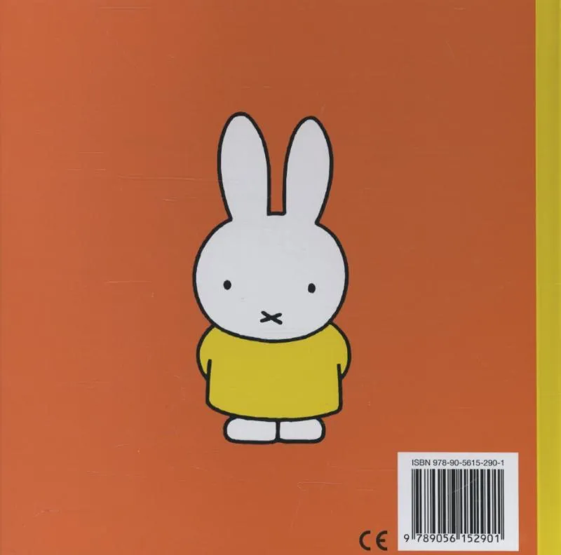 Opa en oma Pluis | 9789056152901 Opa en oma Pluis - Afbeelding 2