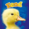 Eend | 9789463411691 Eend | 9789463411691