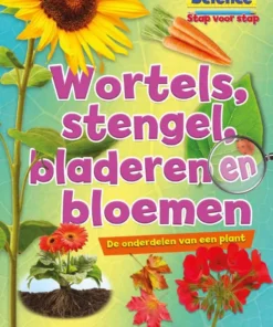 Wortels, stengels, bladeren en bloemen