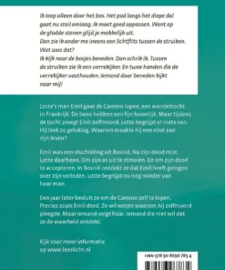 Alternative view of De Camino