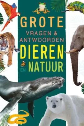 Grote vragen & antwoorden