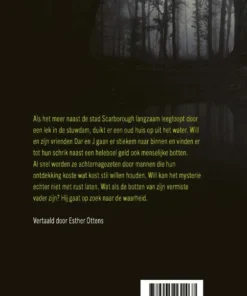 Alternative view of Scar Town