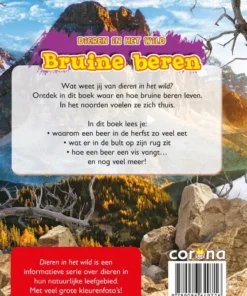 Alternative view of Bruine beren