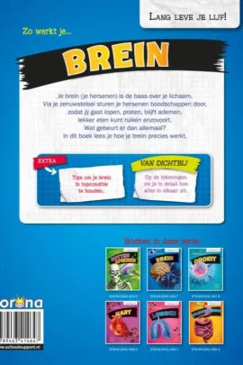 Alternative view of Zo werkt je brein