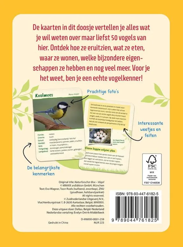 Vogels ontdekken en herkennen - Kaartenset voor kinderen | 9789044761825 Vogels ontdekken en herkennen - Kaartenset voor kinderen - Afbeelding 2