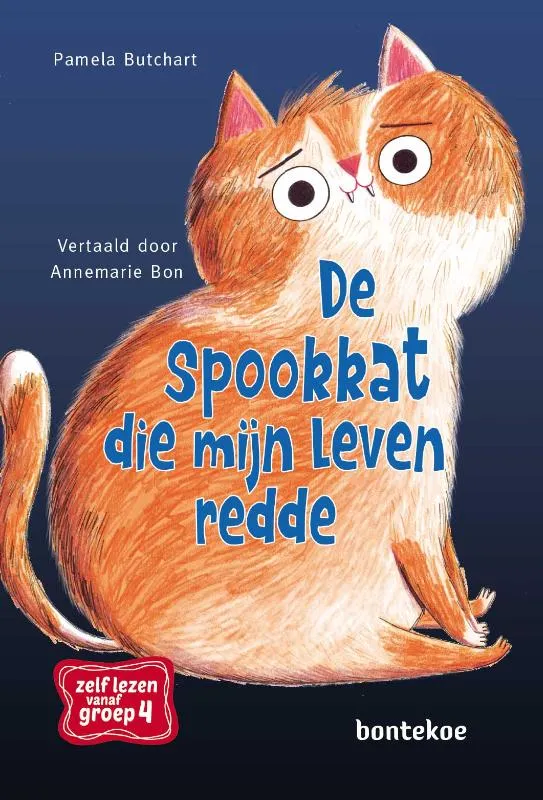 De spookkat die mijn leven redde | 9789463527422 De spookkat die mijn leven redde