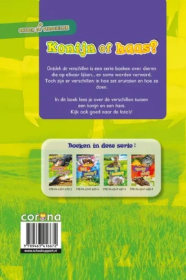 Alternative view of Konijn of haas?