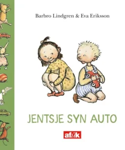 Jentsje syn auto