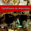 Stenen en mineralen | 9789461755803