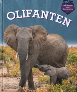 Olifanten