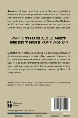 Alternative view of Alleen thuis