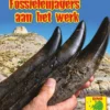 Fossielenjagers aan het werk | 9789463416405 Fossielenjagers aan het werk | 9789463416405