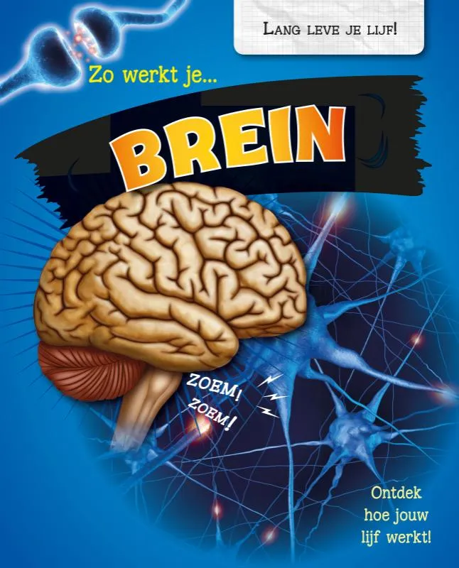 Zo werkt je brein | 9789463414647 Zo werkt je brein