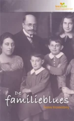 De familieblues | 9789086961412