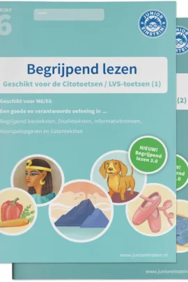 groep 6