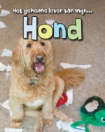 Hond | 9789463413923