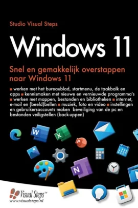 Windows 11