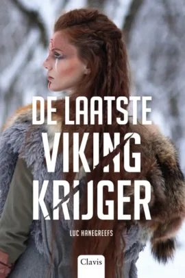 De laatste Vikingkrijger