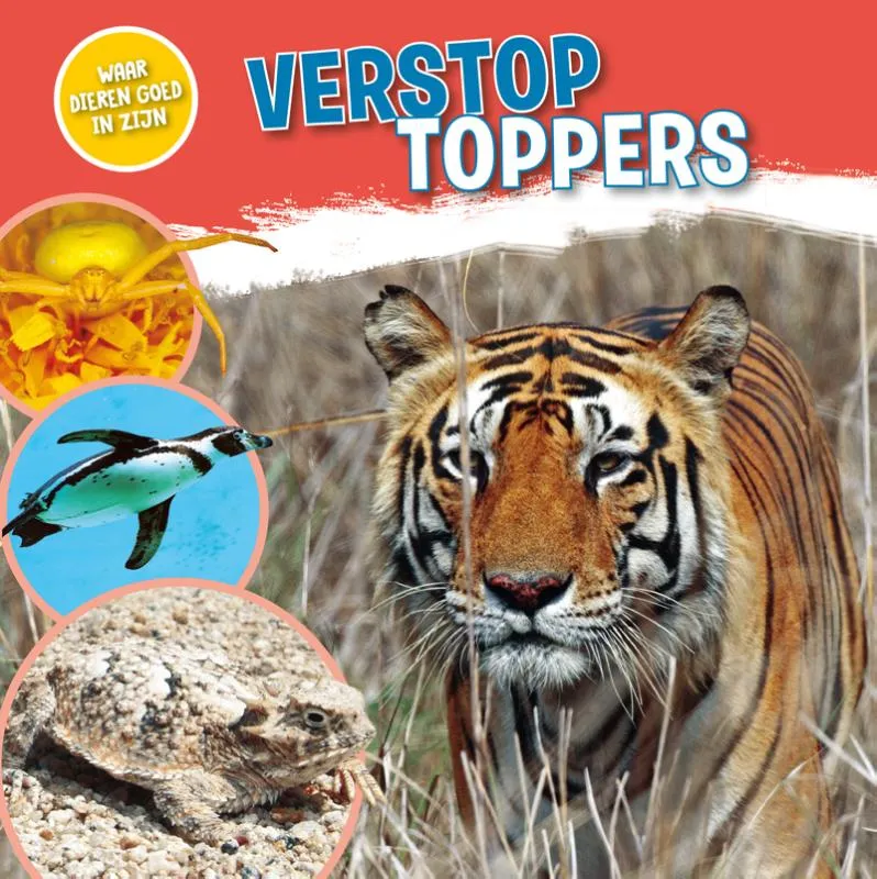 Verstoptoppers | 9789464390162 Verstoptoppers
