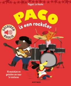Paco is een rockster