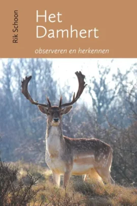 Het damhert